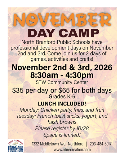 day camp
